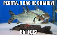 ребята, я вас не слышу! вы где?