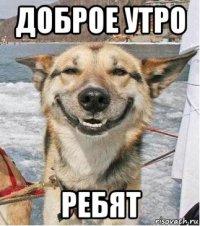 доброе утро ребят