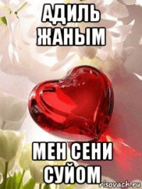 адиль жаным мен сени суйом