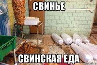 свинье свинская еда