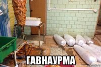  гавнаурма