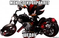 мою стену охраняет шедоу