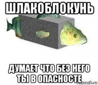 шлакоблокунь думает что без него ты в опасносте