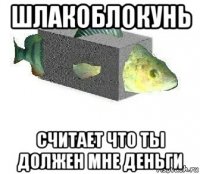 шлакоблокунь считает что ты должен мне деньги