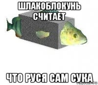шлакоблокунь считает что руся сам сука