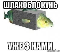 шлакоблокунь уже з нами