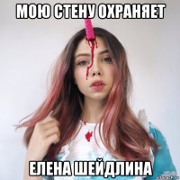 мою стену охраняет елена шейдлина