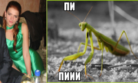 пи пиии