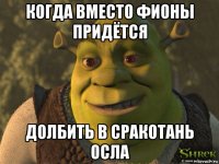 когда вместо фионы придётся долбить в сракотань осла