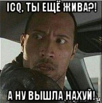 icq, ты ещё жива?! а ну вышла нахуй!