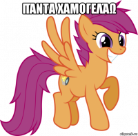 πάντα χαμογελάω 