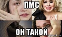 пмс он такой