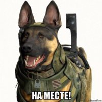  на месте!