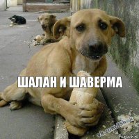 Шалан и шаверма 