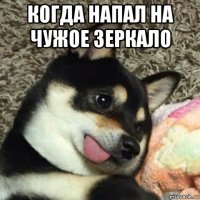 когда напал на чужое зеркало 
