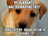 не убивайте нас,пожалуйста!!! #живодёрок_хабаровска_в тюрьму#