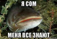 я сом меня все знают