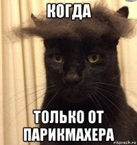 когда только от парикмахера