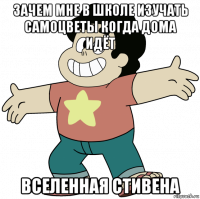 зачем мне в школе изучать самоцветы когда дома идёт вселенная стивена
