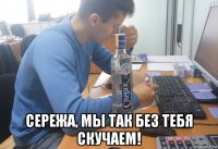  сережа, мы так без тебя скучаем!