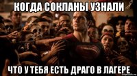 когда сокланы узнали что у тебя есть драго в лагере