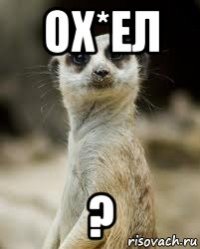 ох*ел ?