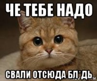 че тебе надо свали отсюда бл*дь