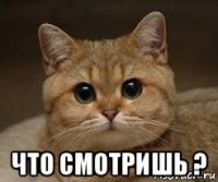  что смотришь ?