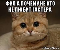 фил а почему не кто не любит гастера 