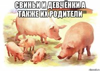 свиньи и девчёнки а также их родители 