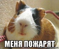  меня пожарят