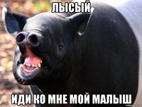 лысый иди ко мне мой малыш
