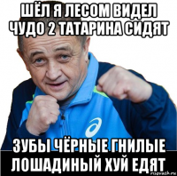 шёл я лесом видел чудо 2 татарина сидят зубы чёрные гнилые лошадиный хуй едят