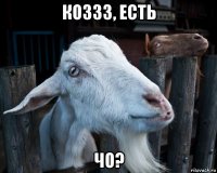 коззз, есть чо?