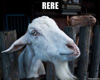 rere 