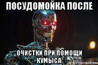 посудомойка после очистки при помощи кумыса