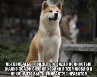  вы долбаебы я видел ето видео полностью жалко пса он скулил хозяин я тебя люблю я не хочу что бы тыумирал"?! 1 нравится