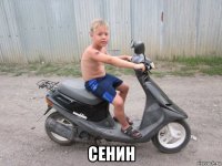  сенин