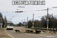 встреча рогатых 