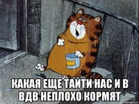  какая еще тайти нас и в вдв неплохо кормят