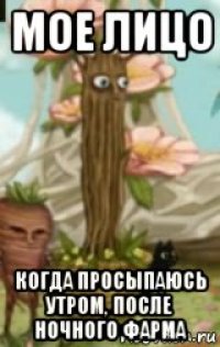 мое лицо когда просыпаюсь утром, после ночного фарма