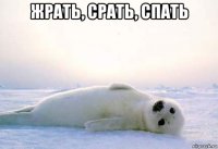 жрать, срать, спать 