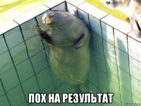  пох на результат