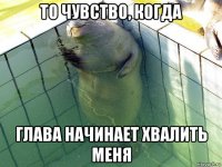 то чувство, когда глава начинает хвалить меня