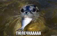  тюлечкааааа