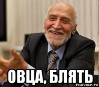  овца, блять