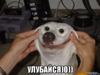  улубайся)0))