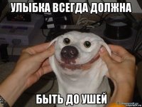 улыбка всегда должна быть до ушей