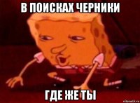 в поисках черники где же ты