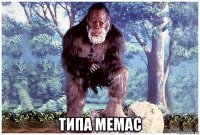  типа мемас